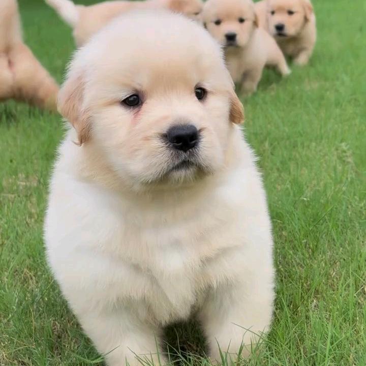 妍然优品