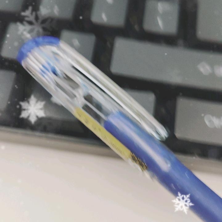 党是太阳我是花