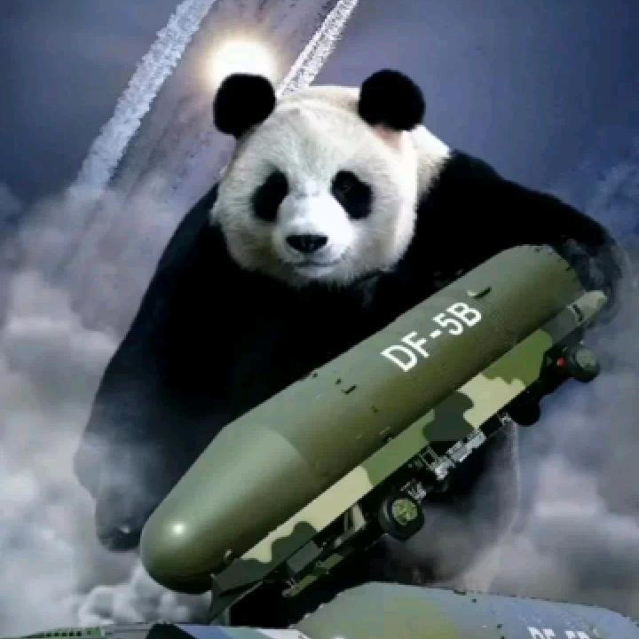 年少不住空城心