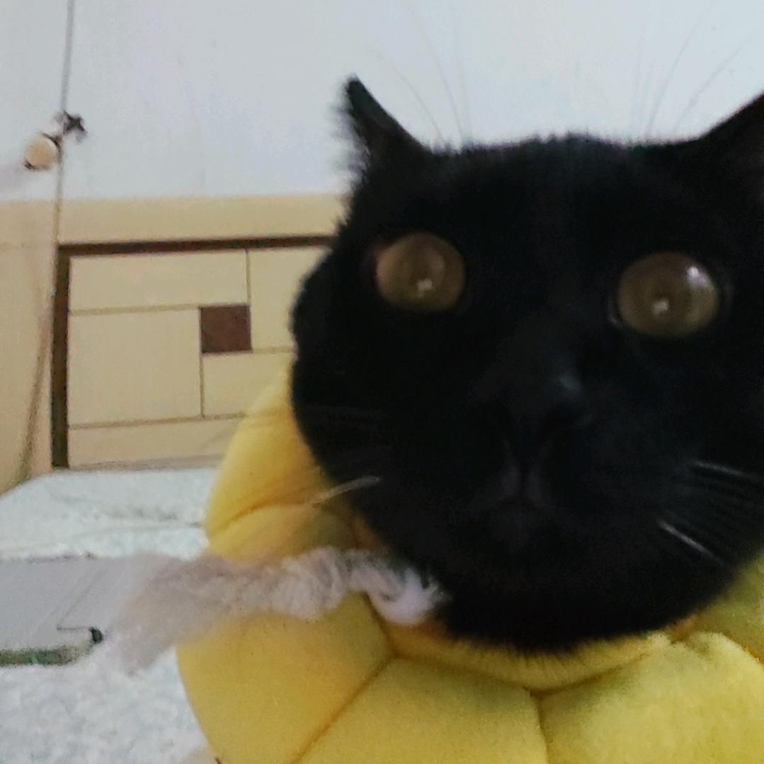 爱我的人别紧张~