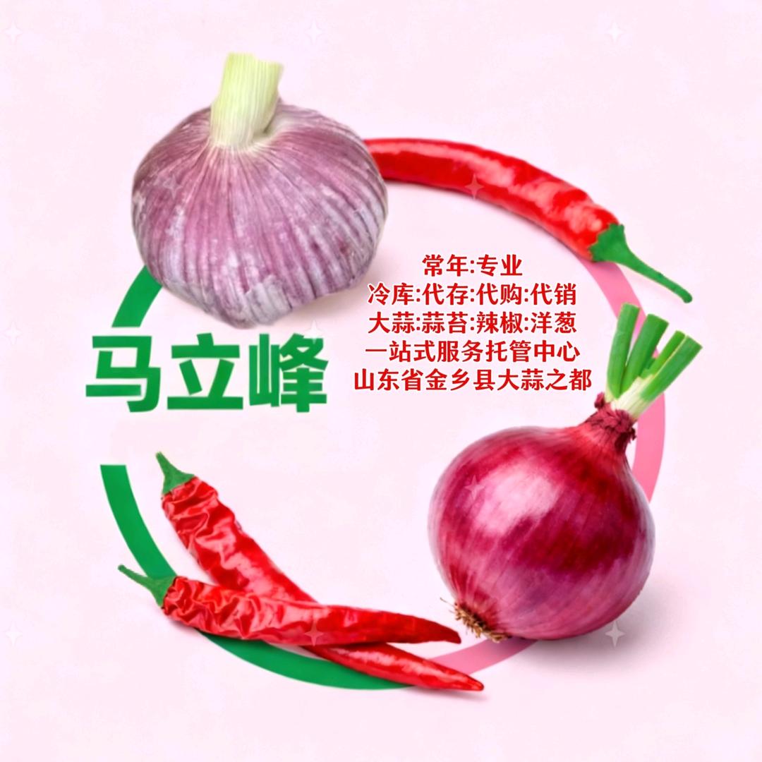 马立峰⭕专业大蒜洋葱蒜苔辣椒