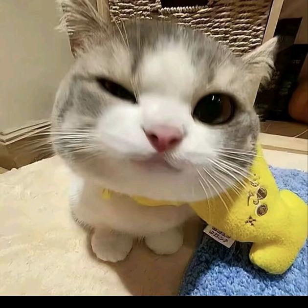 那场漫长雨季