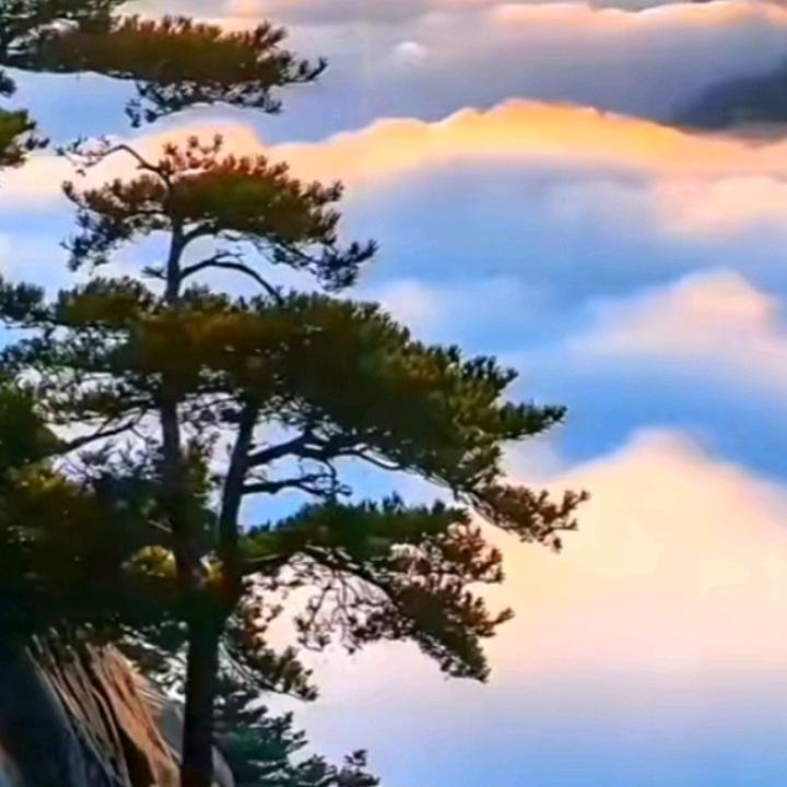 孤风残影