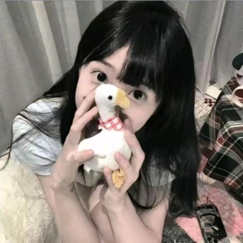 睡觉睡得很好的笨蛋💤