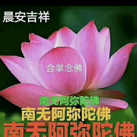 玉兰Chua.benh.ngoai.da