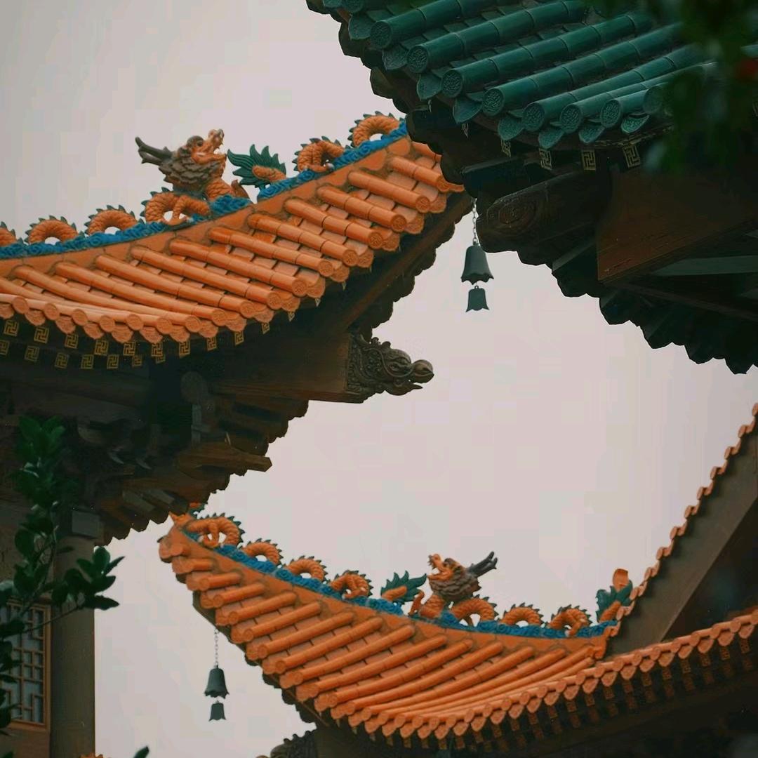 辰💤💤