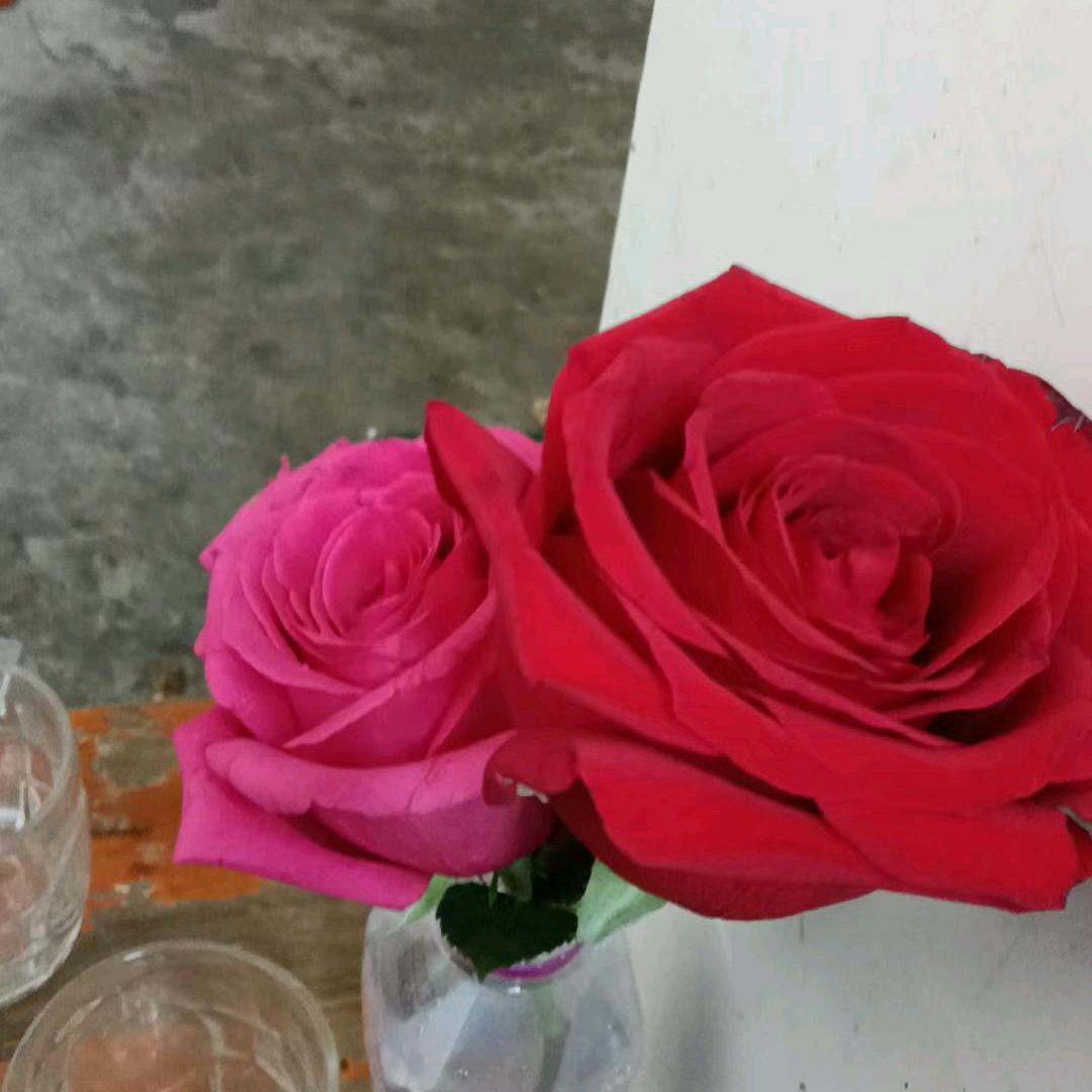 好人平安