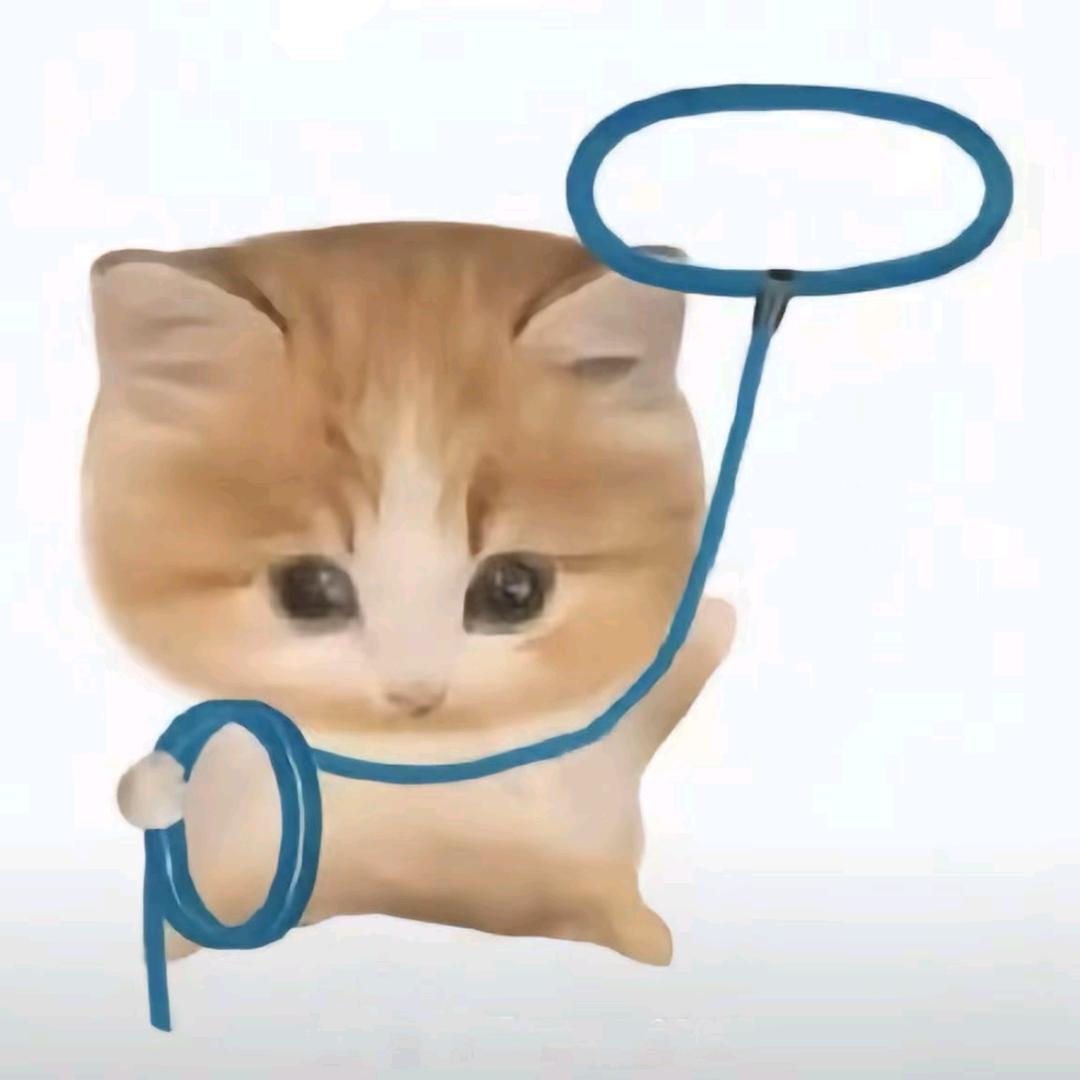 WaDaDa