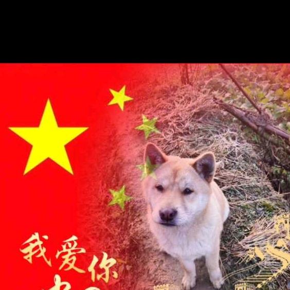 乡村小院