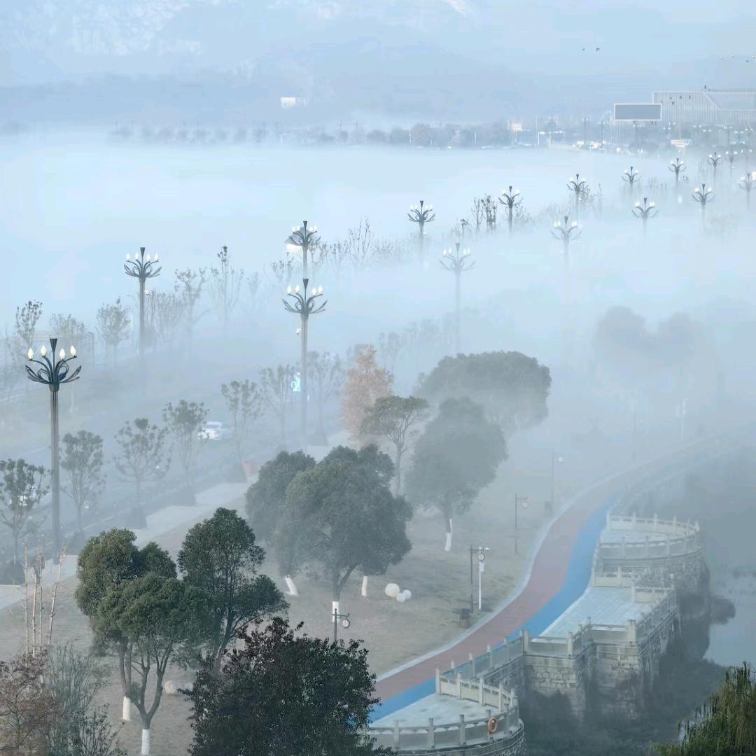 Ϛ⃘๑•͡ .̫•๑꒜安之