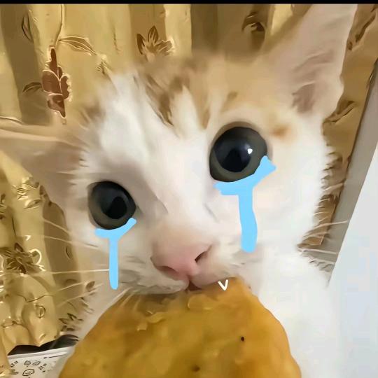 迟悸悸^