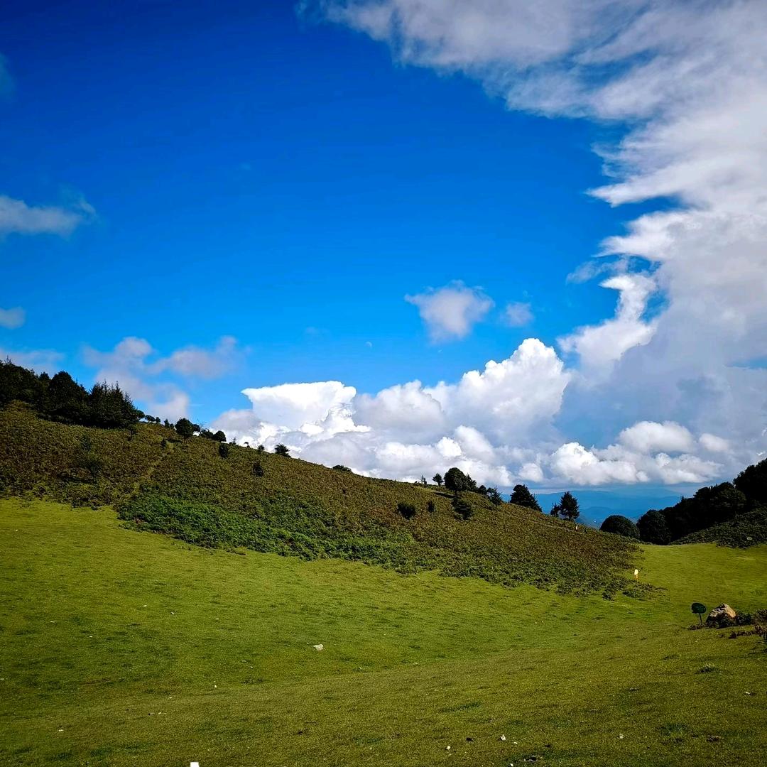 ㅤㅤ ㅤ︋ ㅤㅤ诺🐲恩