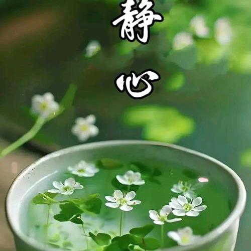 静心则安