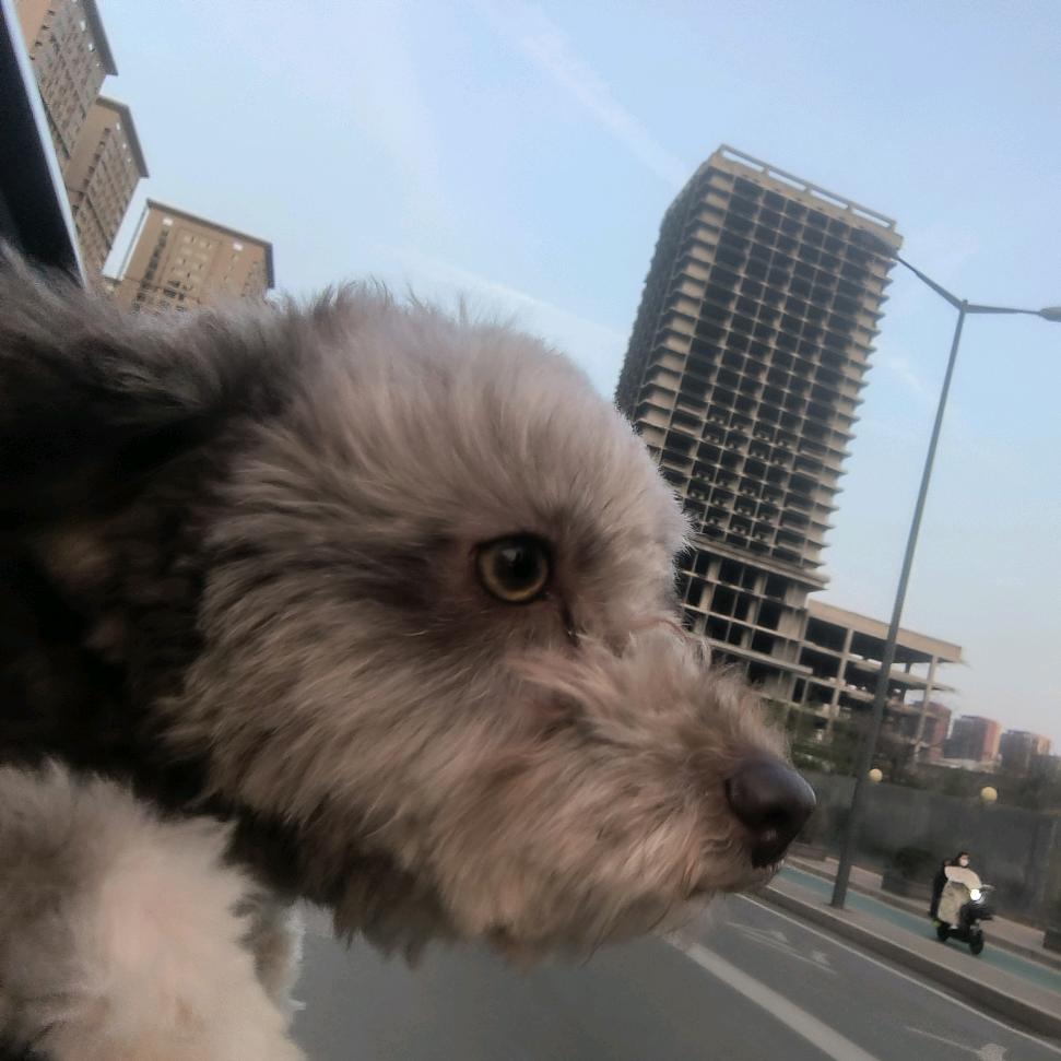古都长安