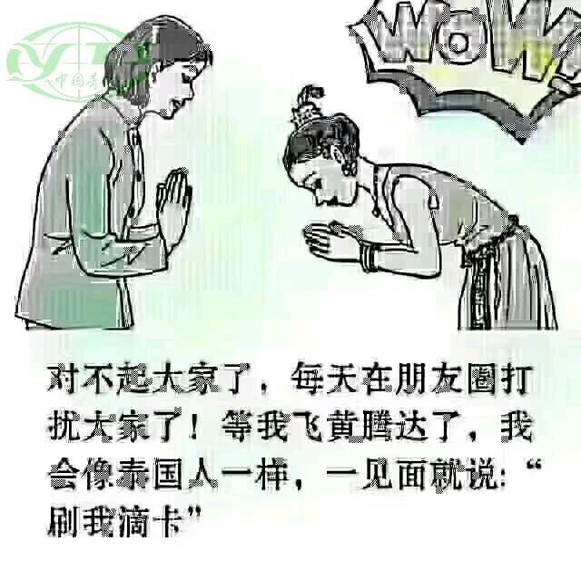 开着拖拉机🚜去游玩