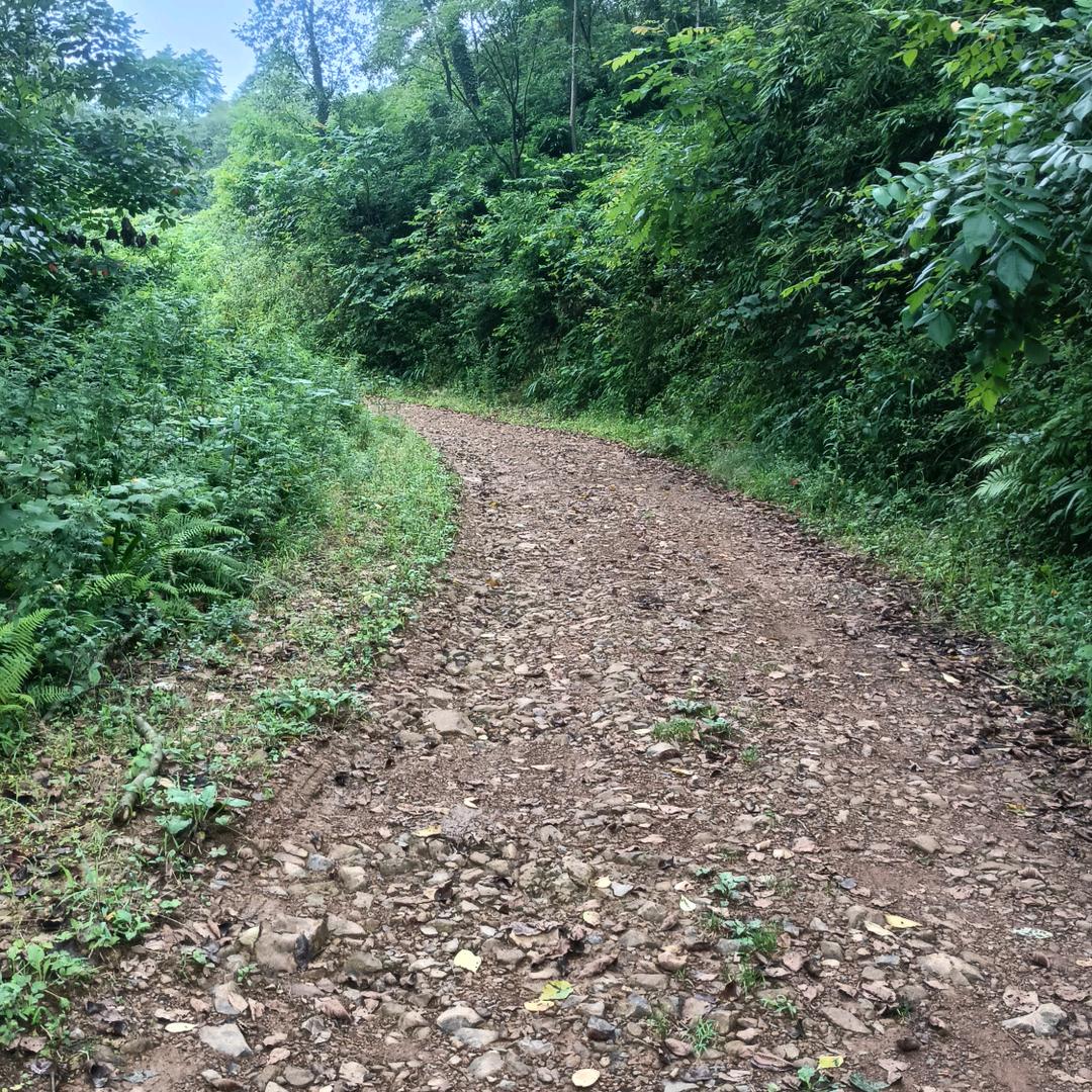 三横ぁ一竖ぁ《王》