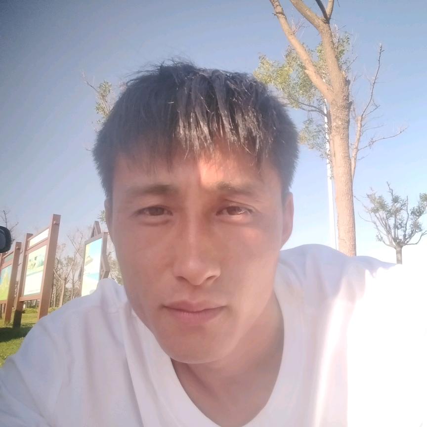 小宋货运抗楼批发沙子水泥