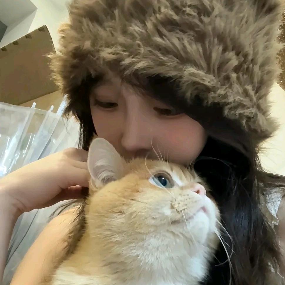 巷子里的猫o