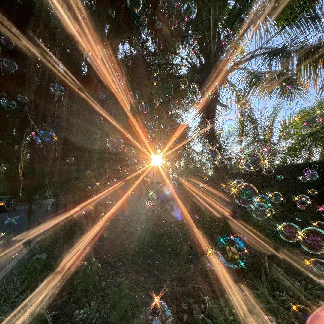 随遇而安（憨憨）