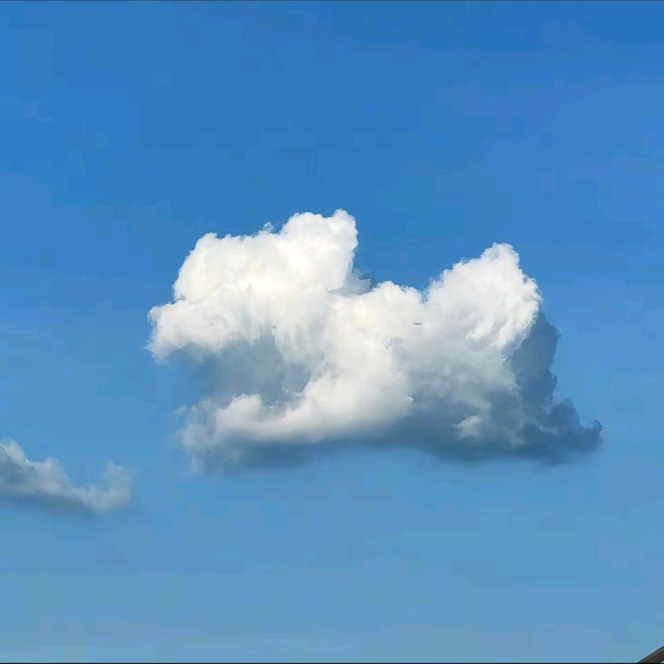 芜青
