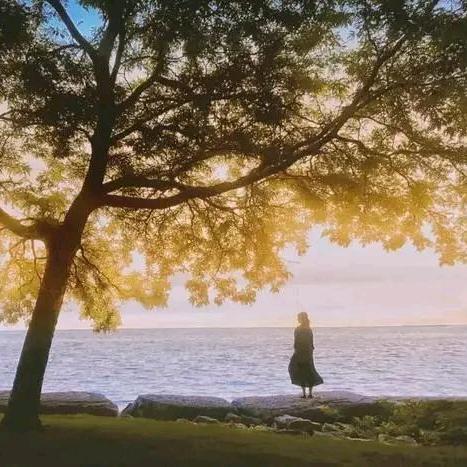 吴忧无虑🌻🌻🌻