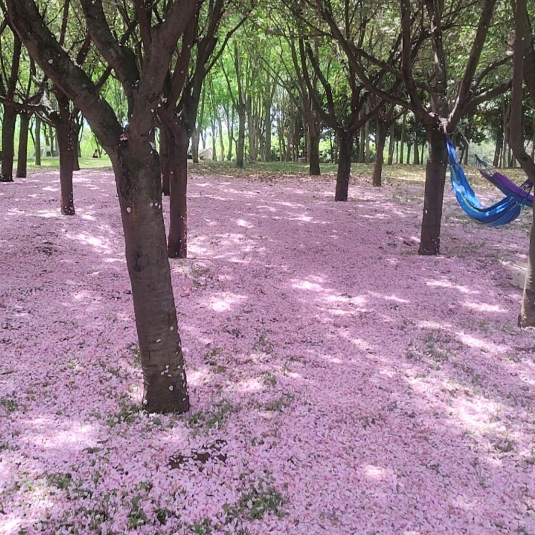 知足长乐