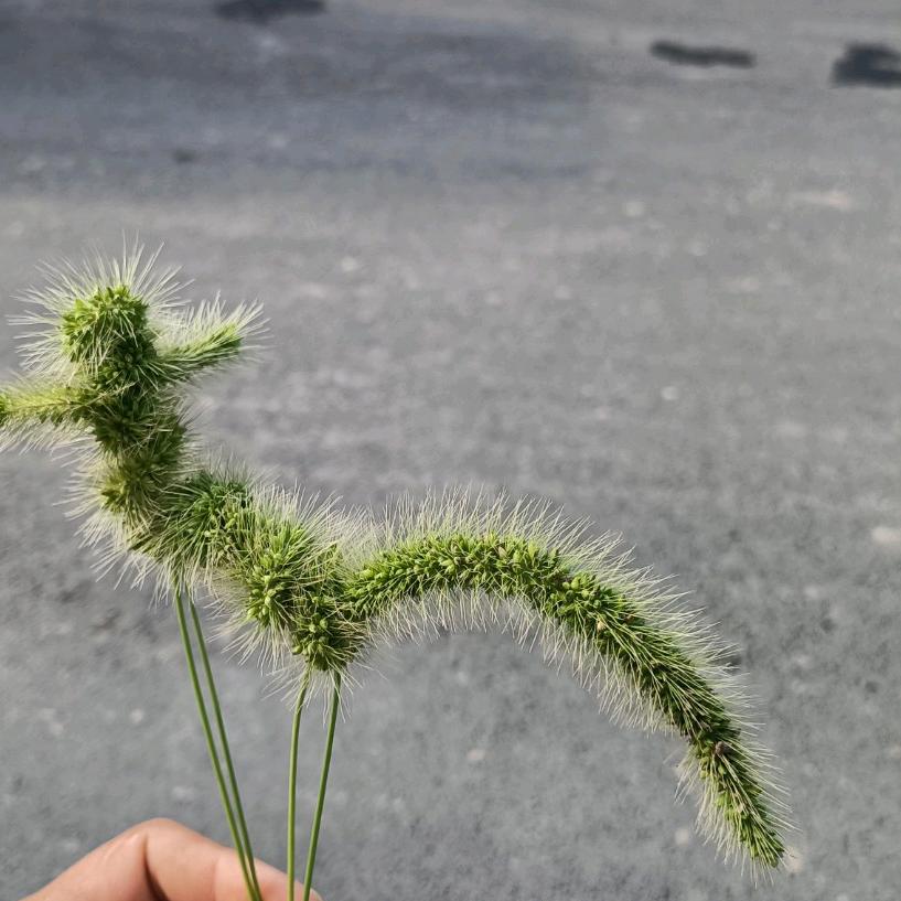非常好运