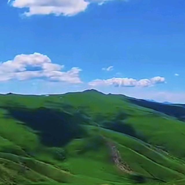 老四(拒私聊)
