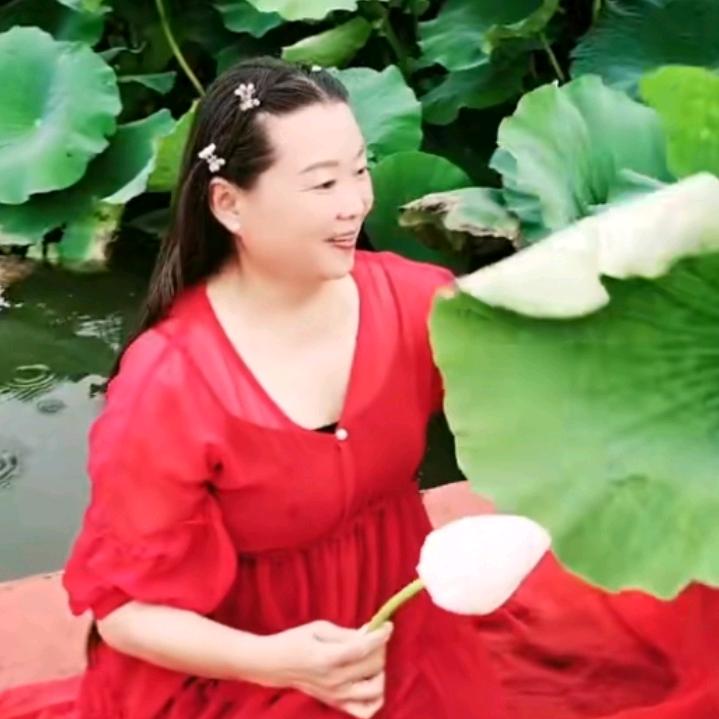 🌺红娘侠姐🌺