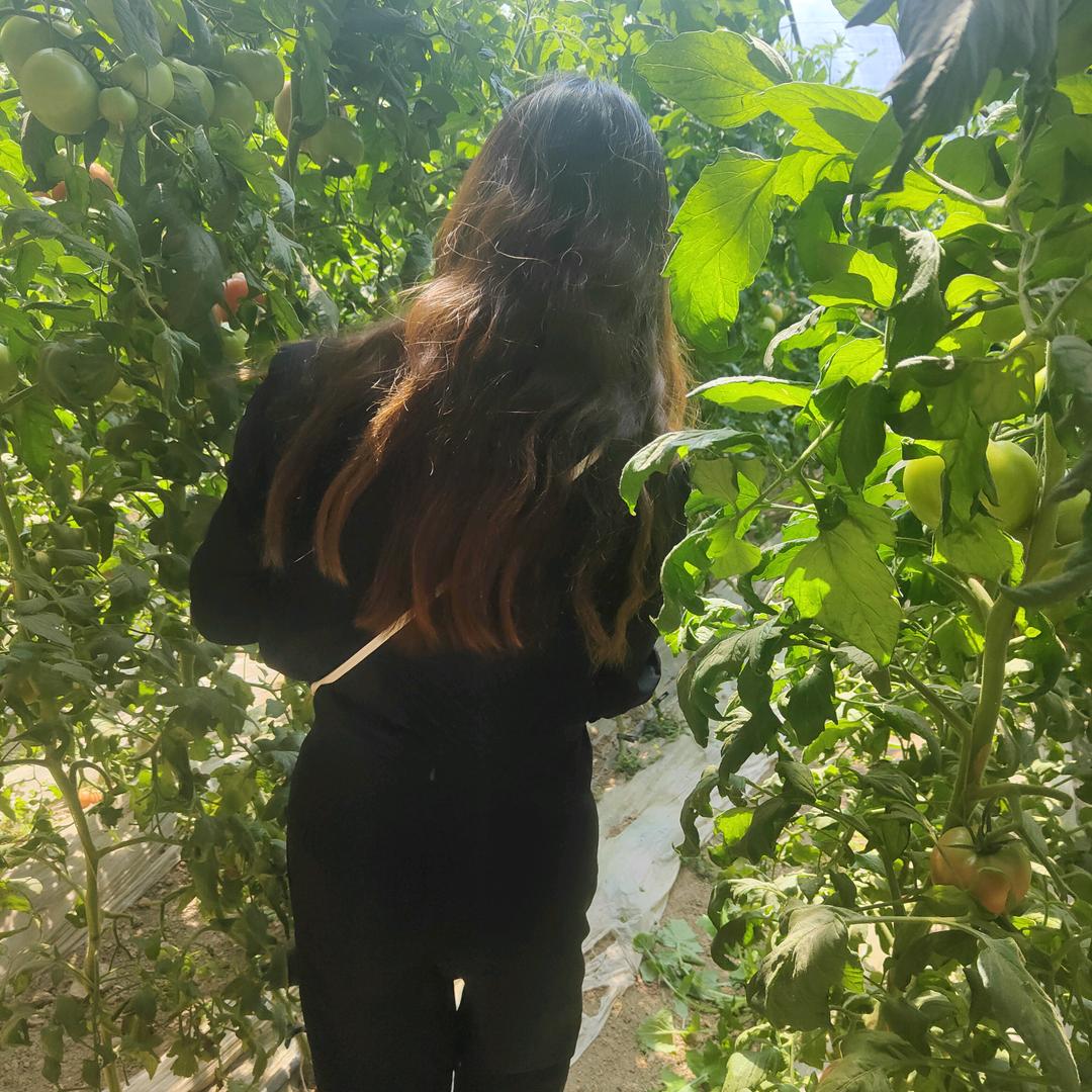 正骨:骨盆修复:脊椎侧弯:颈肩腰腿