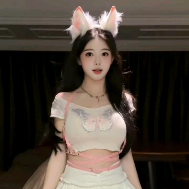 半岛の隐身（隐身版）