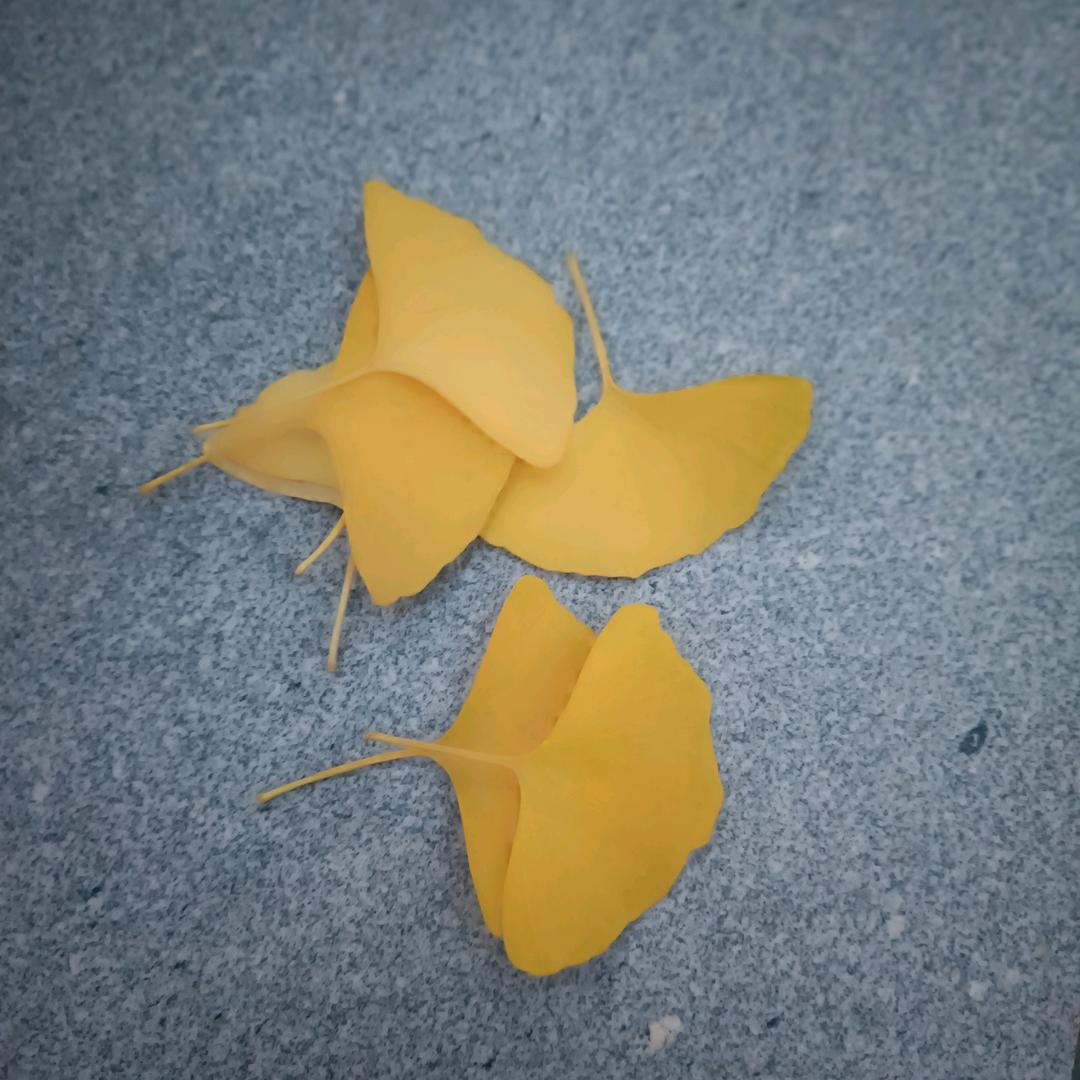 最熟悉的《陌生人》
