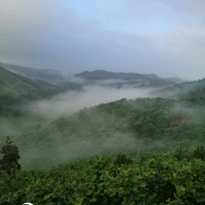深居简出