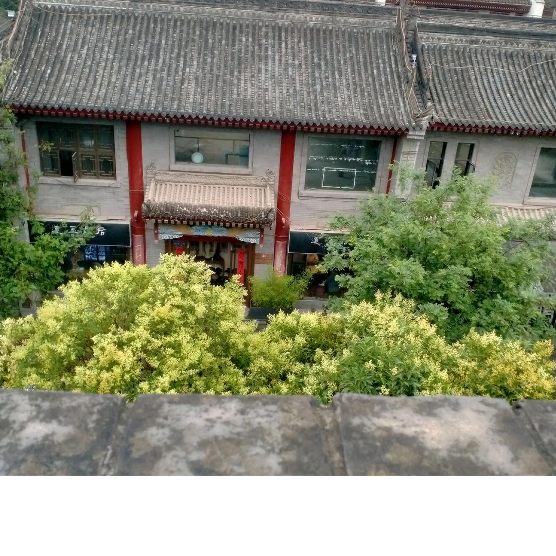 清水