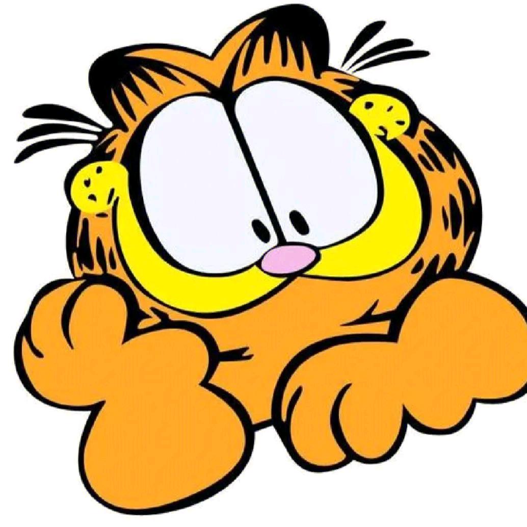 佳飞猫化学小课堂