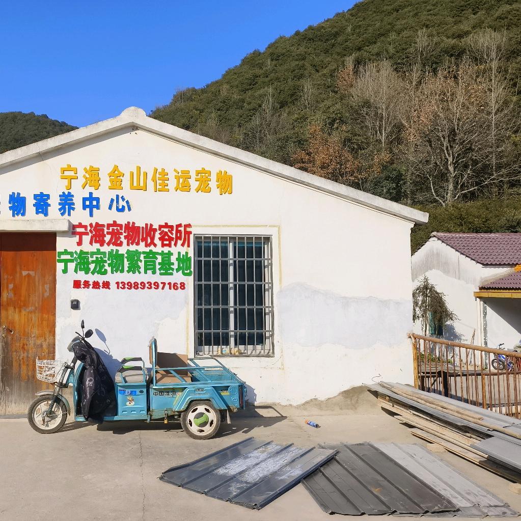 宁海金山佳运宠物