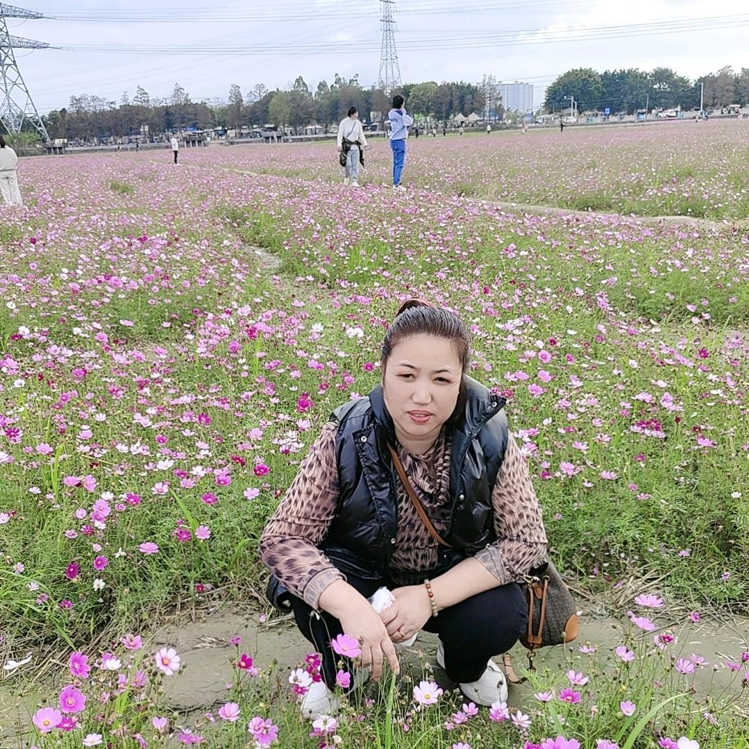 苦莲子