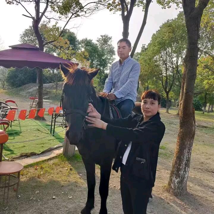 桑榆