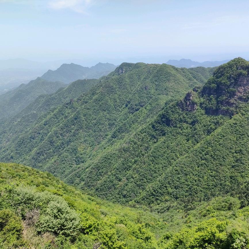 壹一🌿