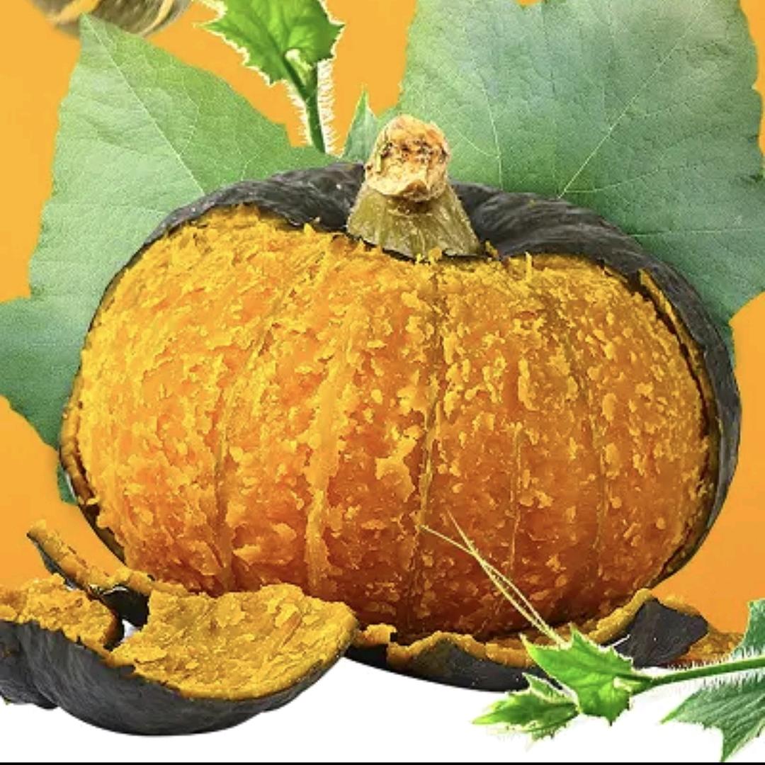 田间地头～昌乐贝贝瓜