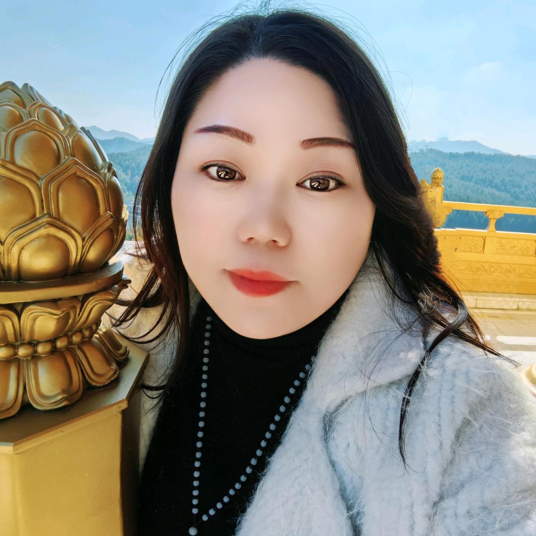 美丽的翅膀