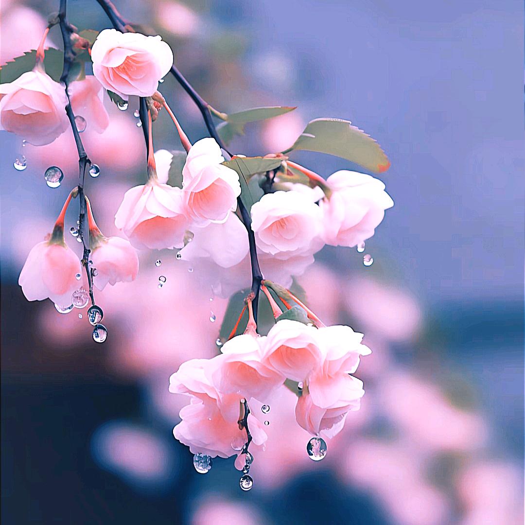 裂缝透出的光