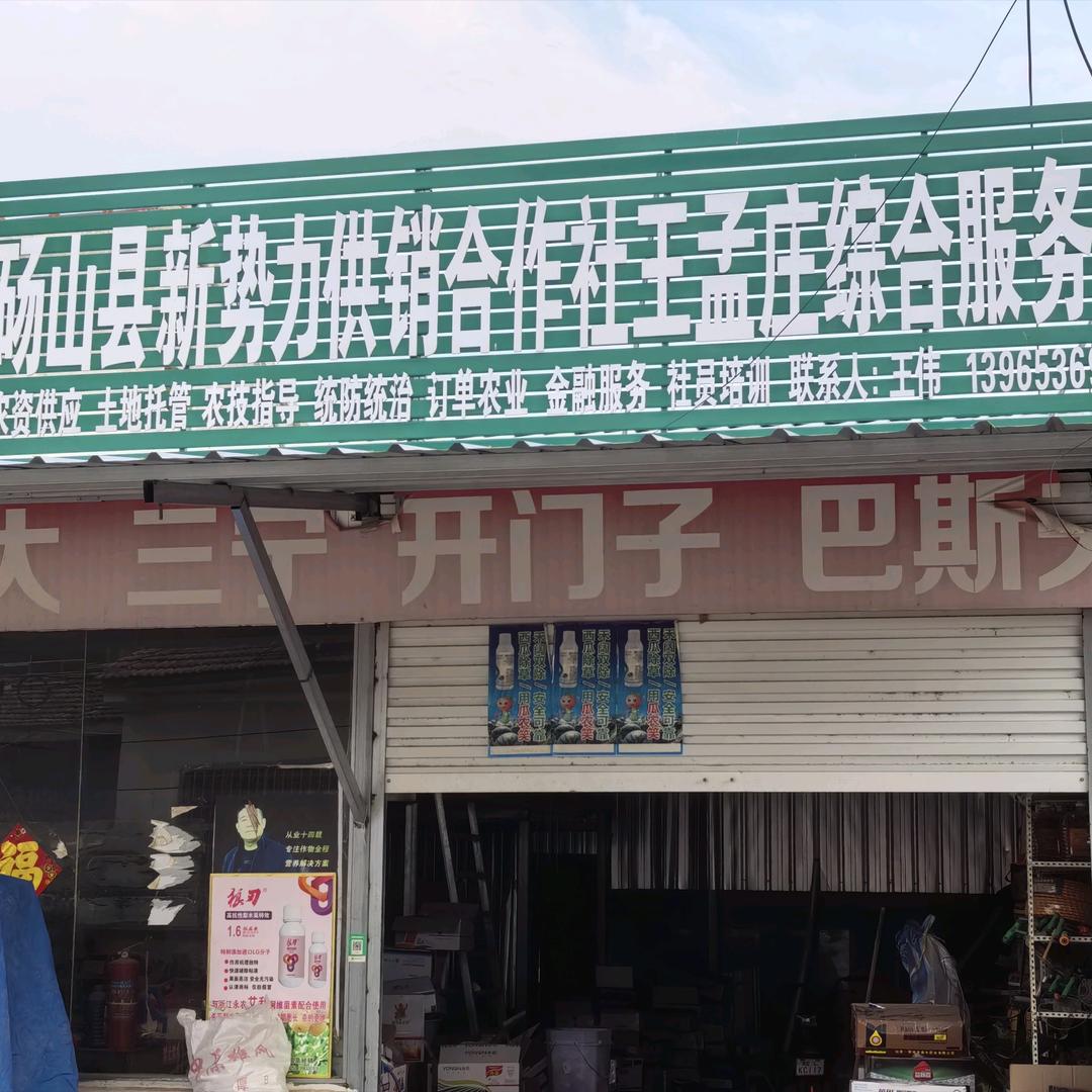 王伟农资服务