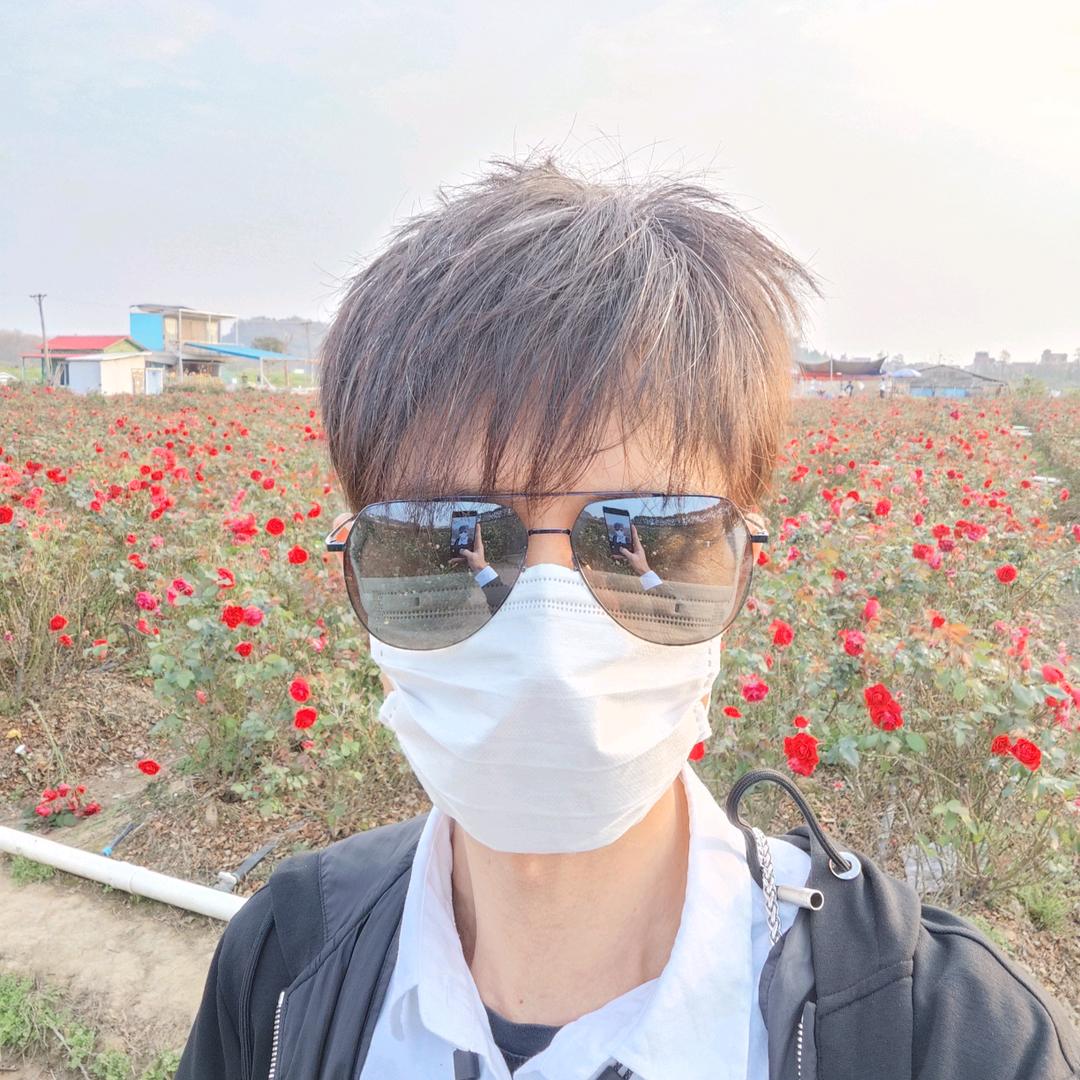 南方的华
