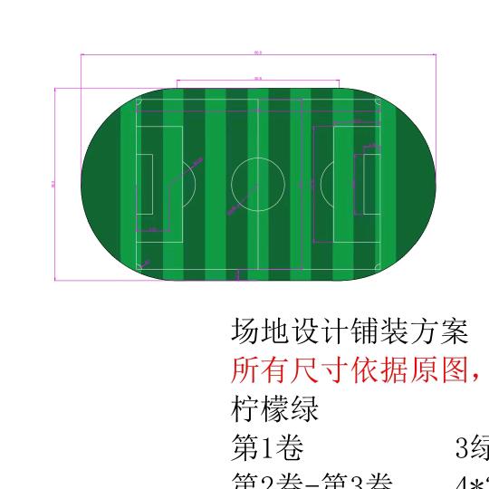 专业人造草坪施工队  叶