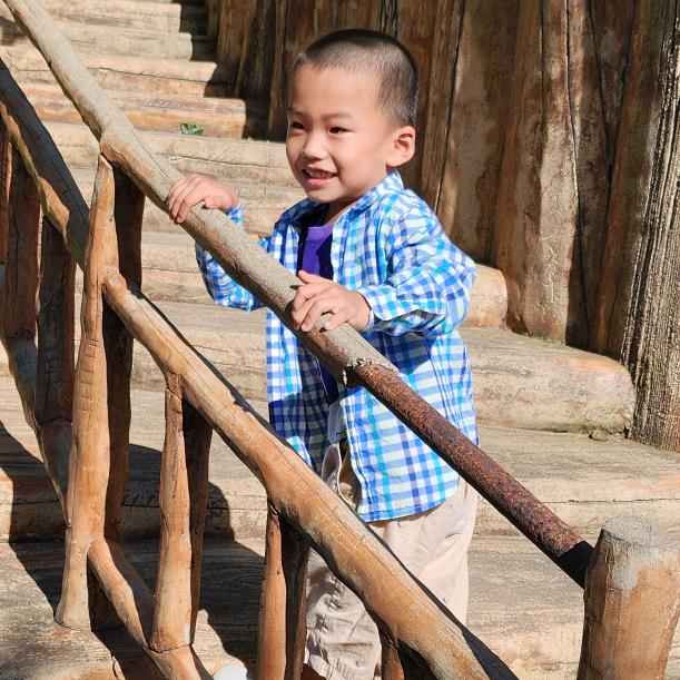 大连周小姐的跑山鸡