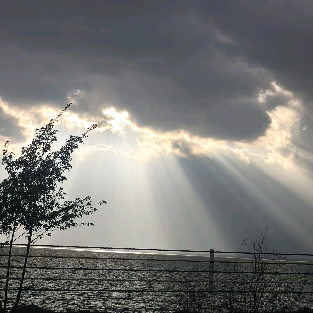 为何你那么美👀