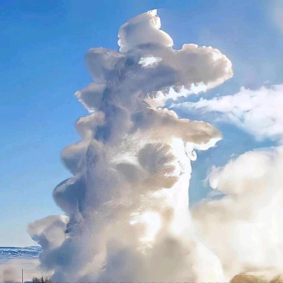 🌈不愿意透露姓名的陈某