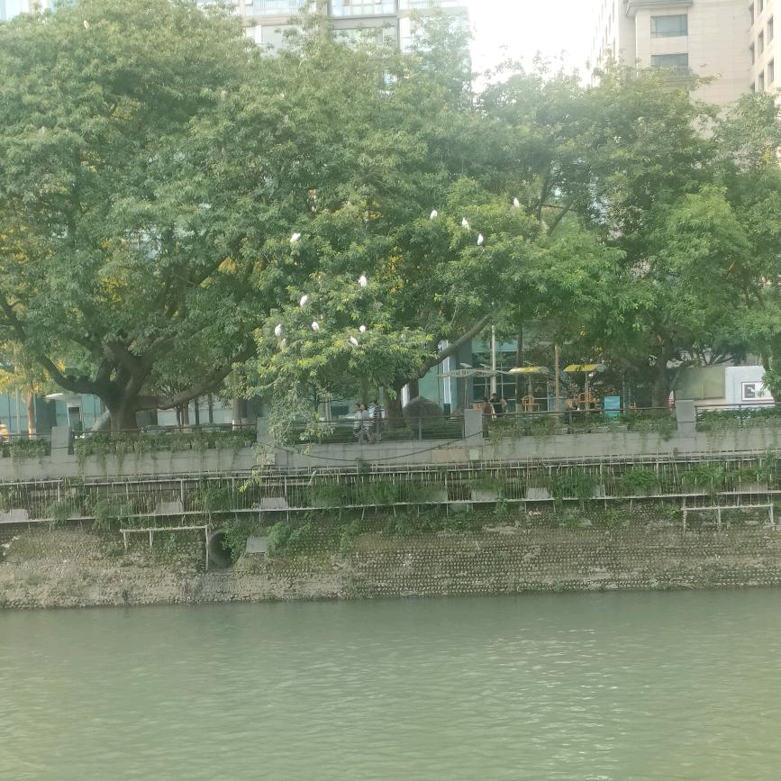 陈