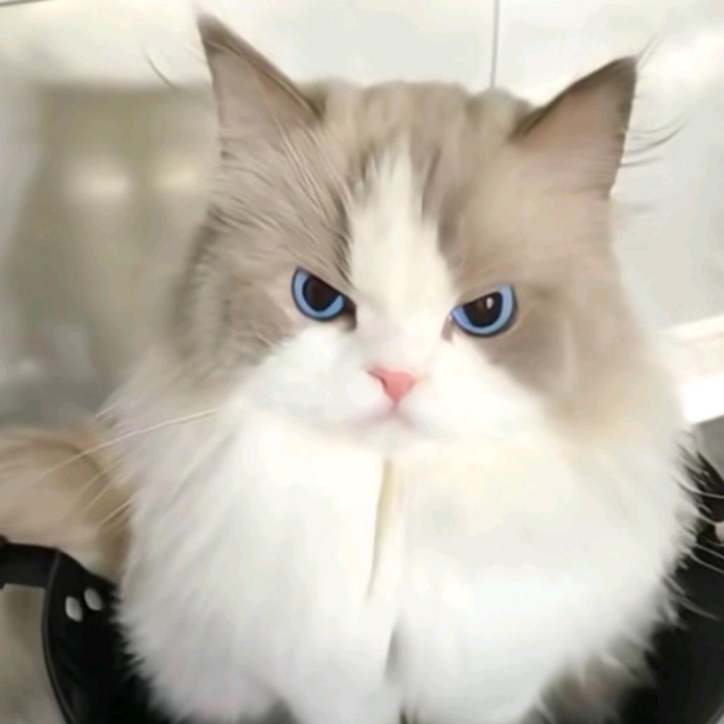 ～是棉花儿糖呀！(￣.￣)